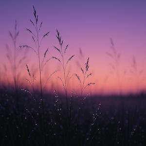Evening Dew