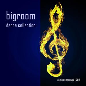 Big Room Dance Collection