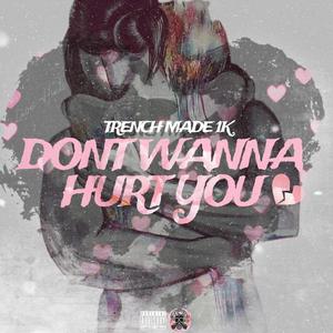 Don't Wanna Hurt You (Explicit)