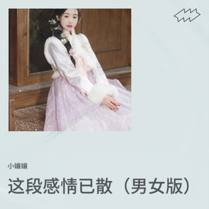 这段感情已散/伴奏