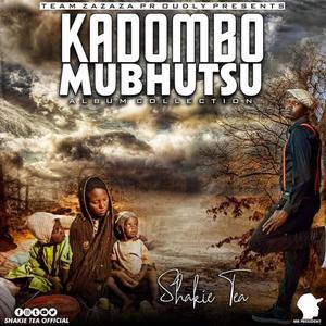 Kadombo mubhutsu album