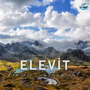 Elevit