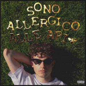 sono allergico alle api (Explicit)