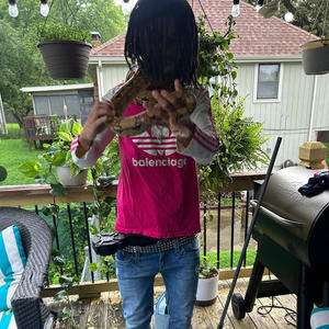 Manipulation (Explicit)