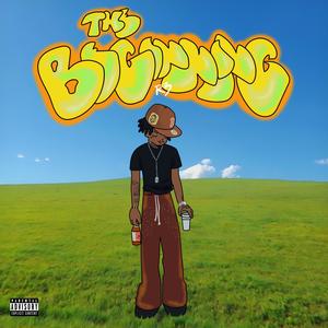 Another Pill (feat. Li RUDY) (Explicit)