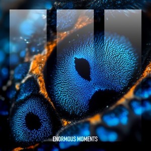 Moonlight (Extended Mix)