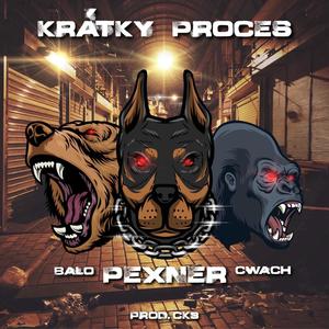 Krátky proces (Explicit)