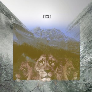 被七月点燃的猫