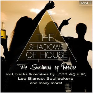 The Shadows of House, Vol. 1