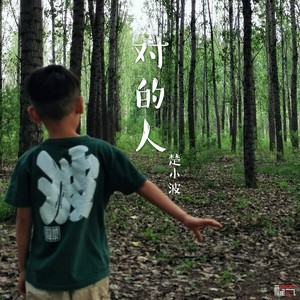 对的人 (伴奏)封面