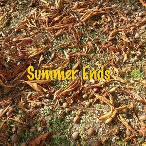 Summer Ends (feat. Emile Fortune & Christian Duperray)