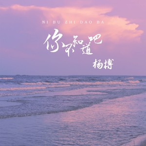 你不知道吧 (伴奏)
