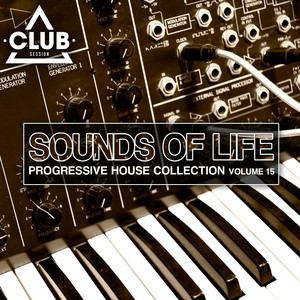 Feel the Rush (Nightstylers 'the Crazy Bass Song' Remix)