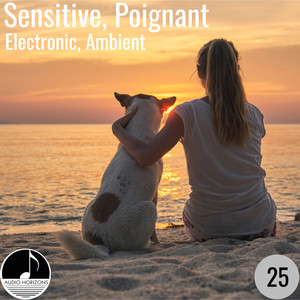 Sensitive, Poignant 25 Electronic, Ambient