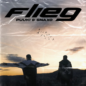 Flieg (Explicit)