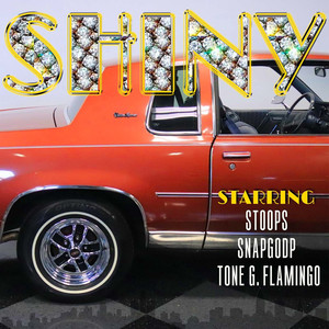 Shiny (Explicit)