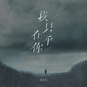 何欢浪 - 我只在乎你