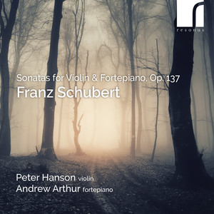 Violin Sonata No. 1 in D Major, D. 384 - I. Allegro molto