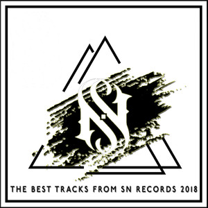 The Best Tracks From SN Records 2018