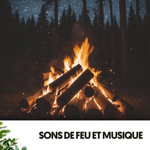 Sons de Feu et Musique : Danse sous les Étoiles