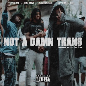 Not a Damn Thang (Explicit)