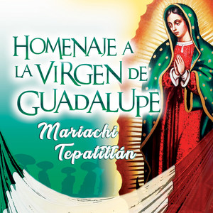 Homenaje a La Virgen de Guadalupe