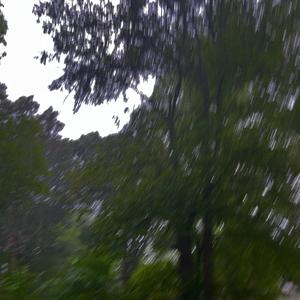 They Left Me At The Bridge