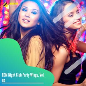 EDM Night Club Party Wings, Vol. 04