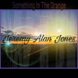 Something In The Orange