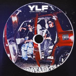 YLF (Explicit)