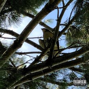 something (feat. lovesickxo & ridgely2k) (Explicit)