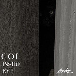 C.O.I. Inside Eye