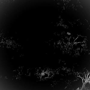 Headrest (feat. 279tyler) (Explicit)