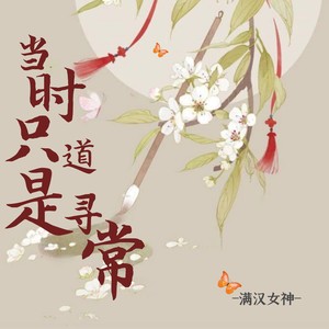 当时只道是寻常 (DJXYremix)封面