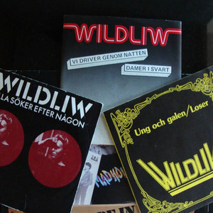 Alla söker efter någon