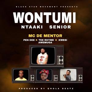 Wontumi Ntaki Senior (feat. Pen Dee Beatz, Tee Rhyme & Kwesi Amewuga) [Explicit]