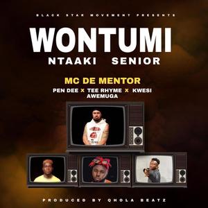 Wontumi Ntaki Senior (feat. Pen Dee Beatz, Tee Rhyme & Kwesi Amewuga) (Explicit)
