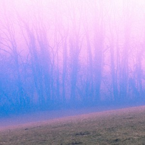 Brouillard