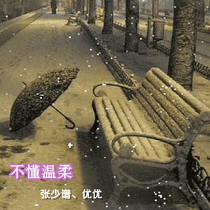 不懂温柔