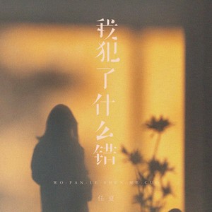 我犯了什么错