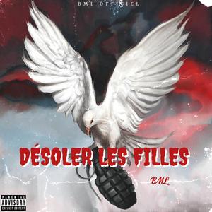 Ainsi va la vie (Explicit)