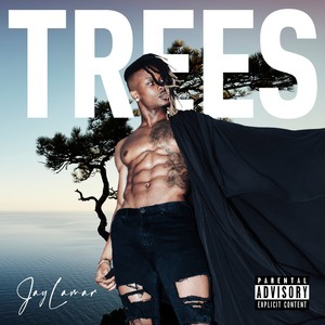 Trees (Explicit)