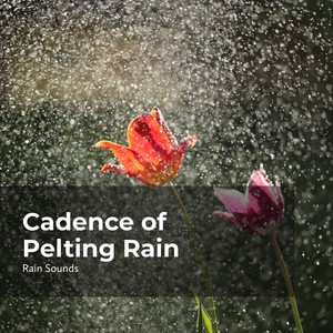 Melodic Crystal Rain
