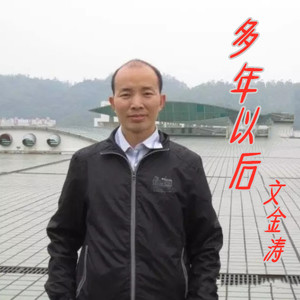 文金涛 - 多年以后