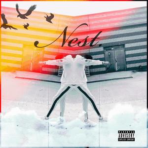 Nest (Explicit)