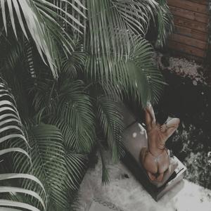 Keepingittrill Bounce Anthem (ABE201) (Jersey Club)