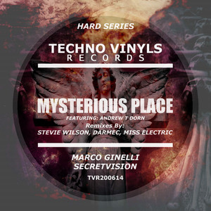 Mysterious Place (Miss Electric Bad Reflection Remix)