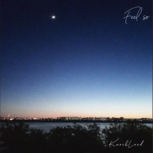 Feel so (Feat. GIST, Chan)