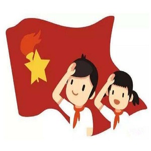 少年心向党