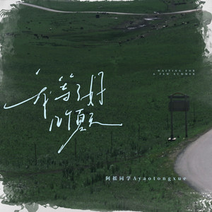 我等了好几个夏天